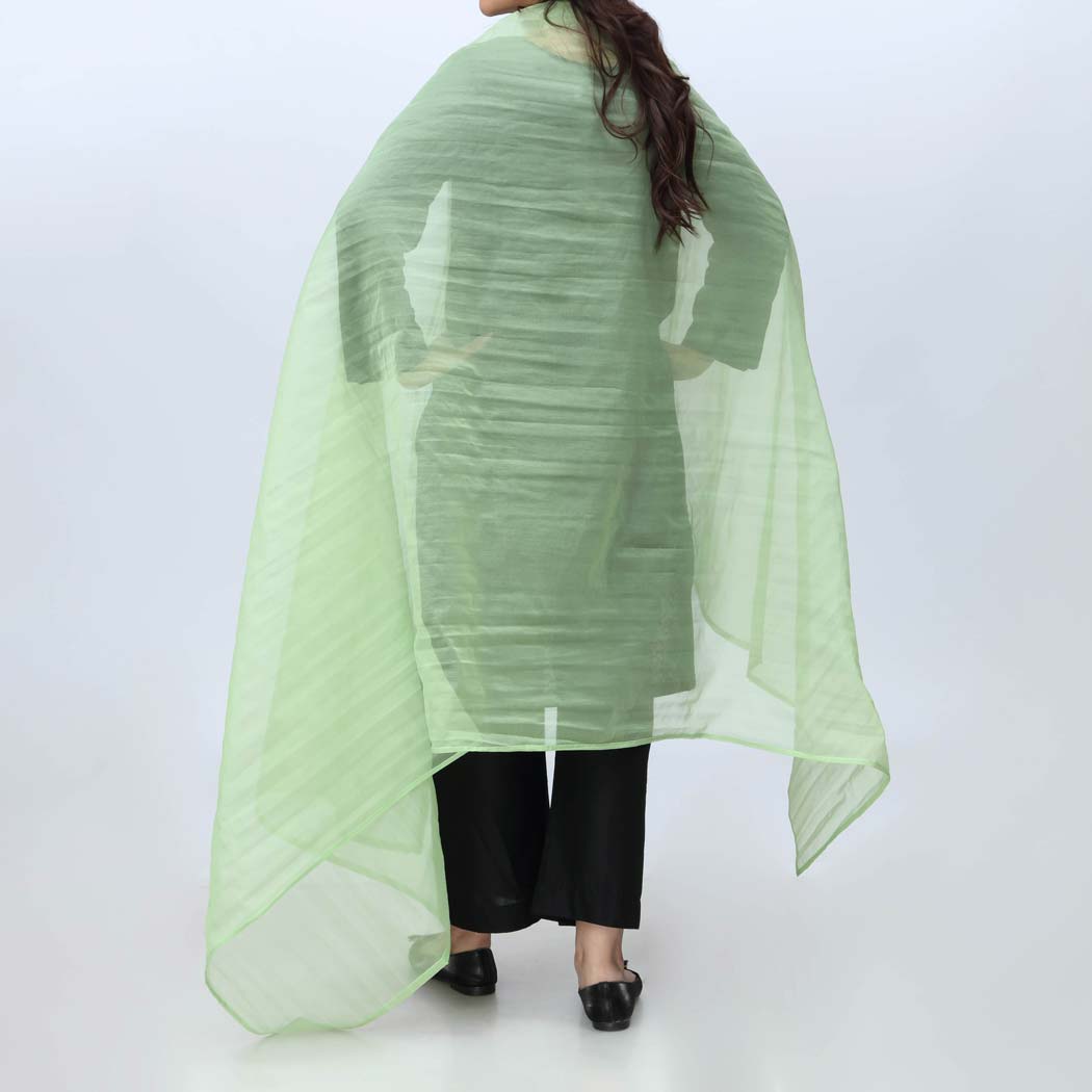 Green Plain Organza Dupatta PS4702