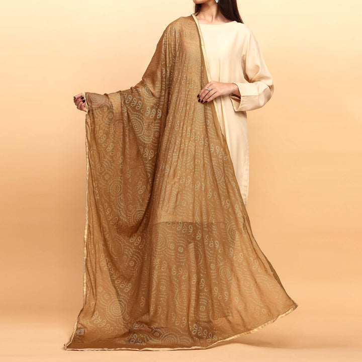 Brown Plain Chiffon Dupatta PS4707