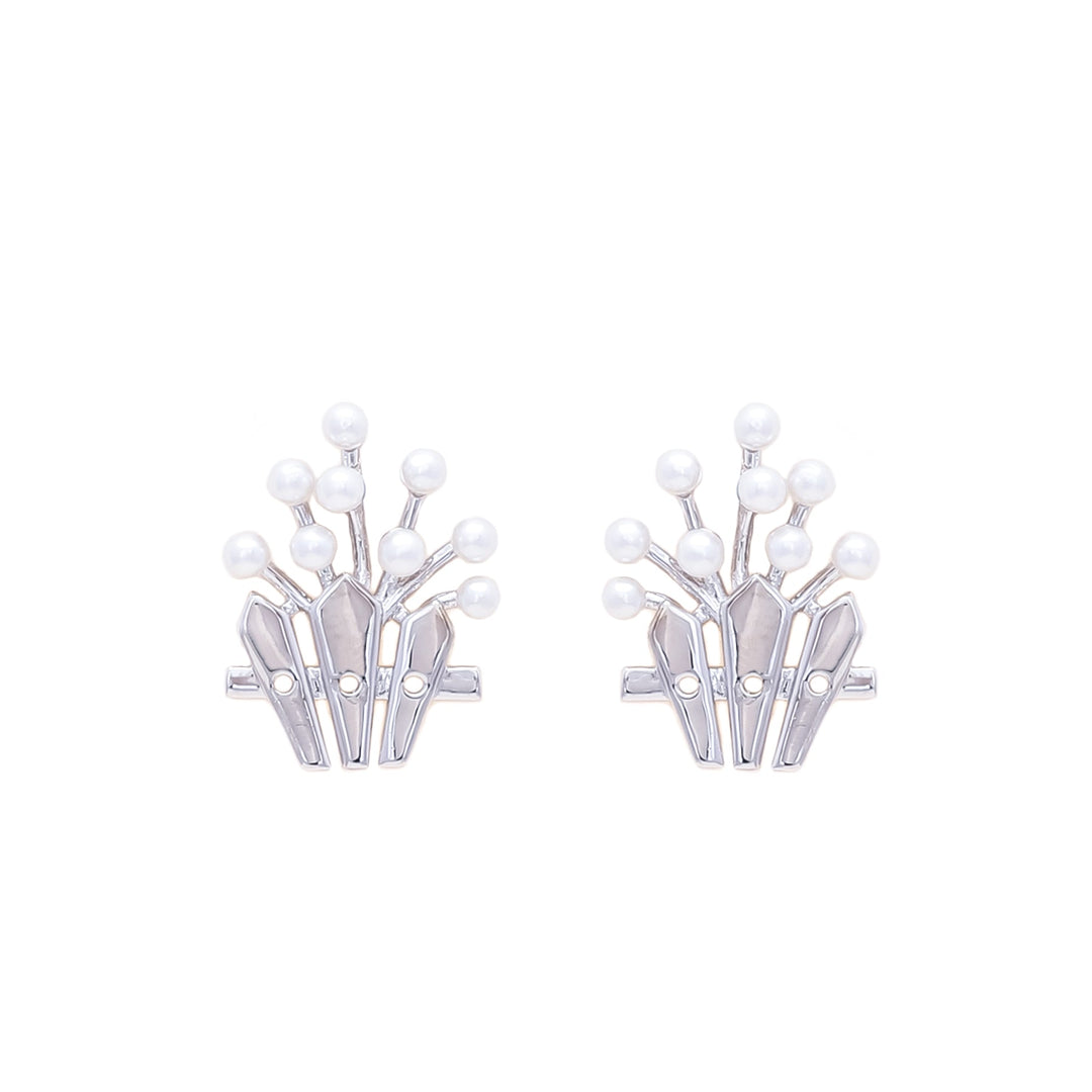 Silver Color Earrings J0502116.