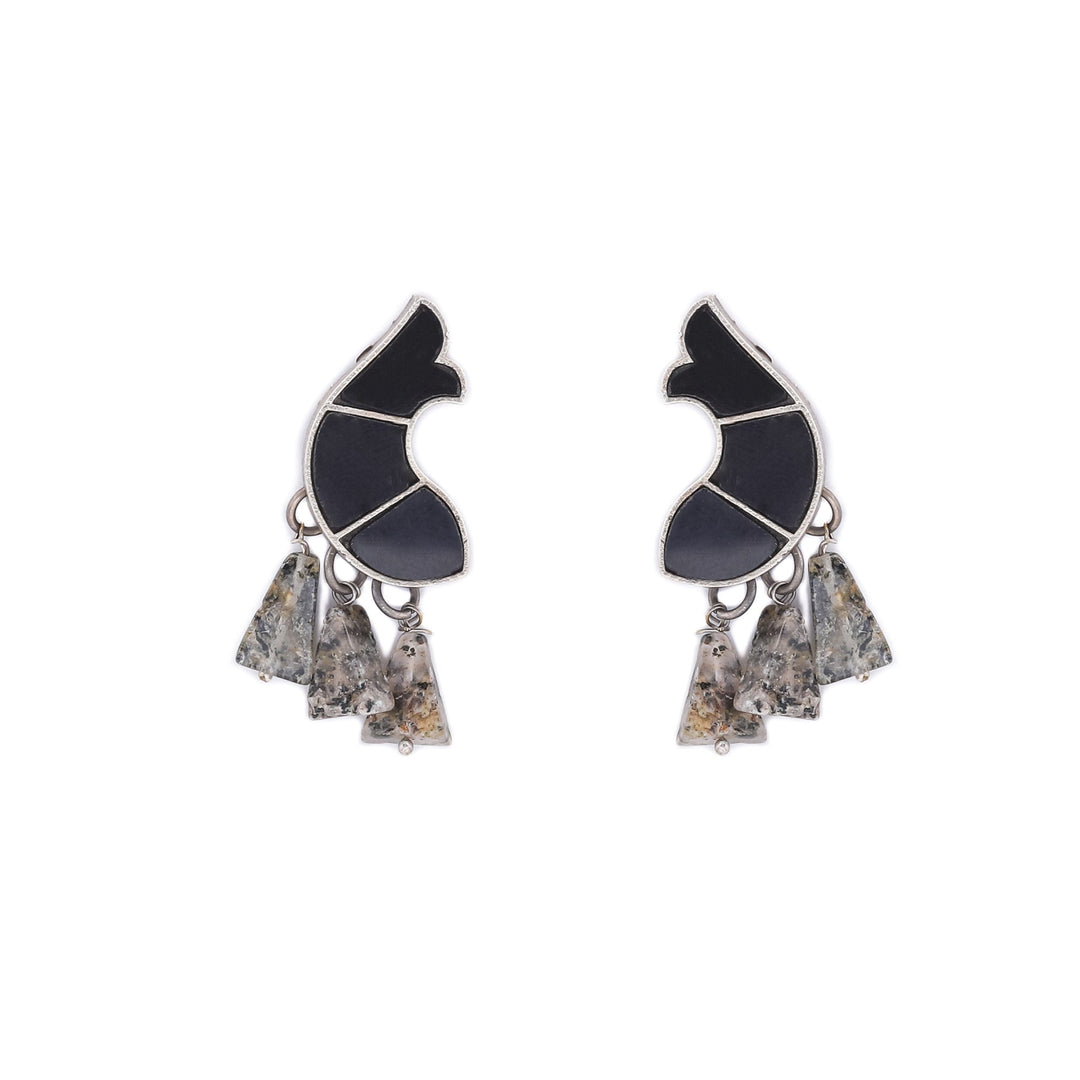 Silver Earrings K2973116