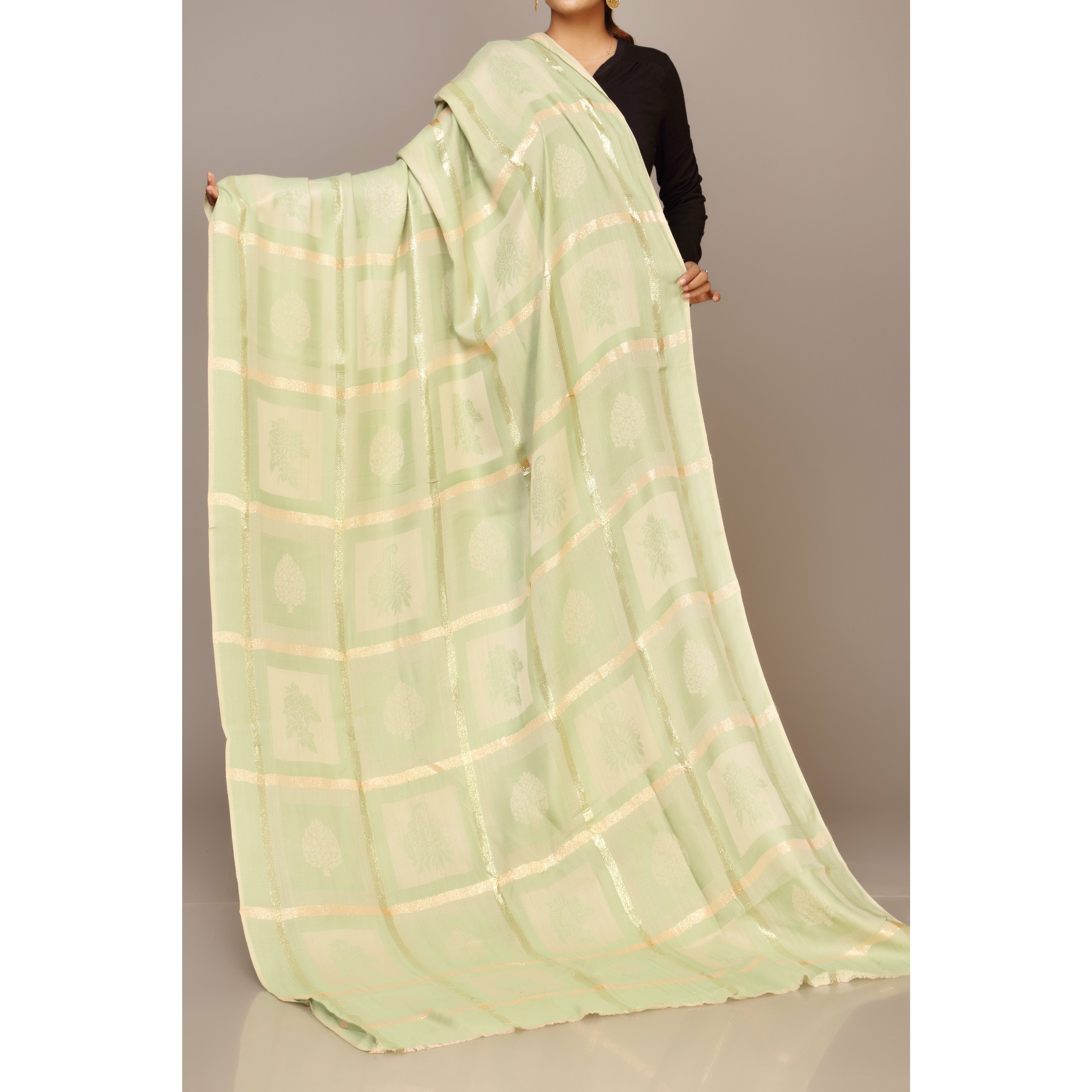 Green Color Shawl PW1710
