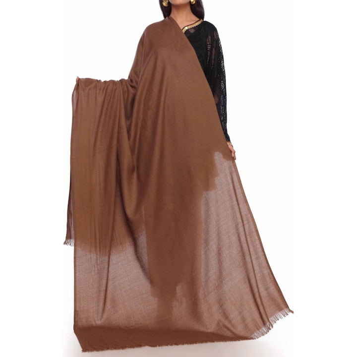 Brown Softer Plain Shawl PW2747